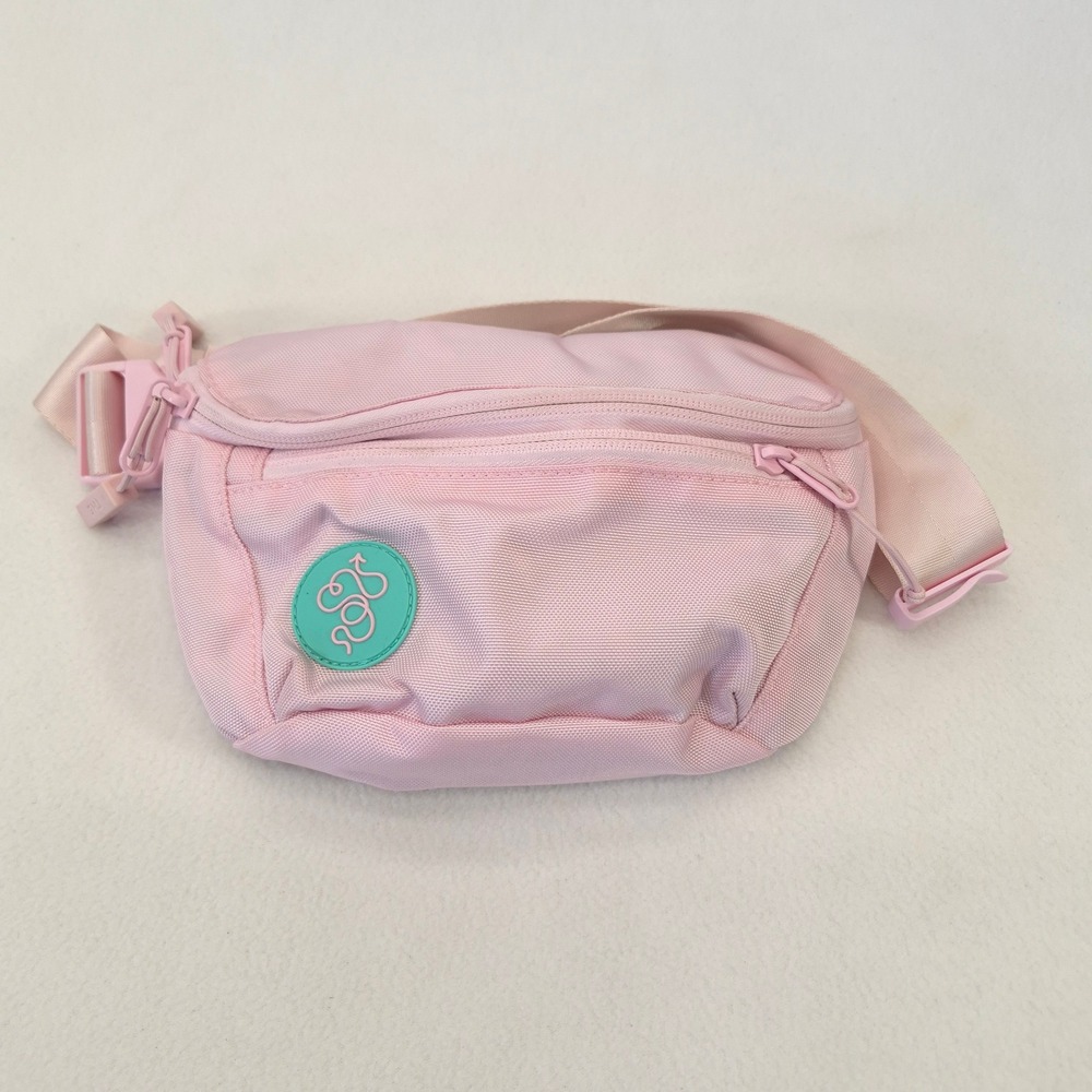 Baboon To The Moon Mini Fannypack Pink Cordura Limited Edition Tiger Lining OS